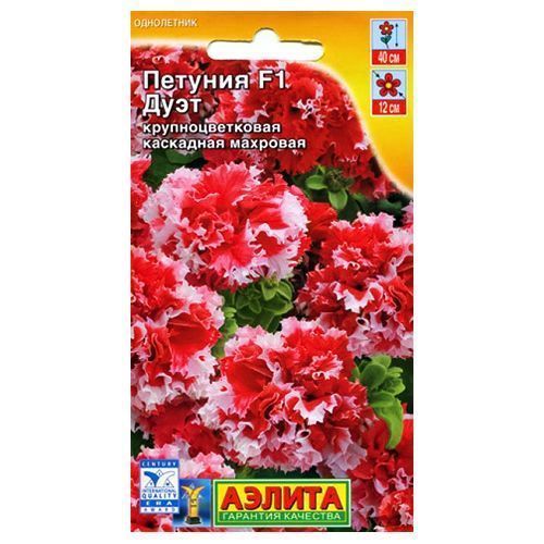 ������ ������ ������� ��������� �������� ���� F1 ������   ����