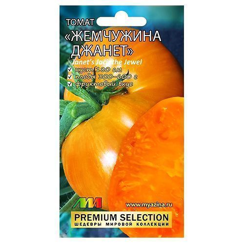 ������ ������ ����� ��������� ������ ����������� ������ �.�.   ����