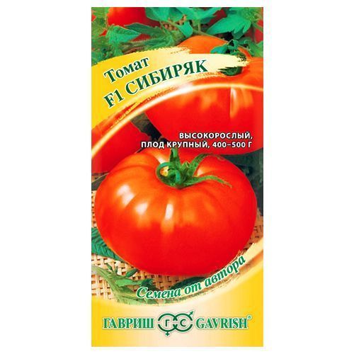 ������ ������ ����� ������� F1 ������   ����