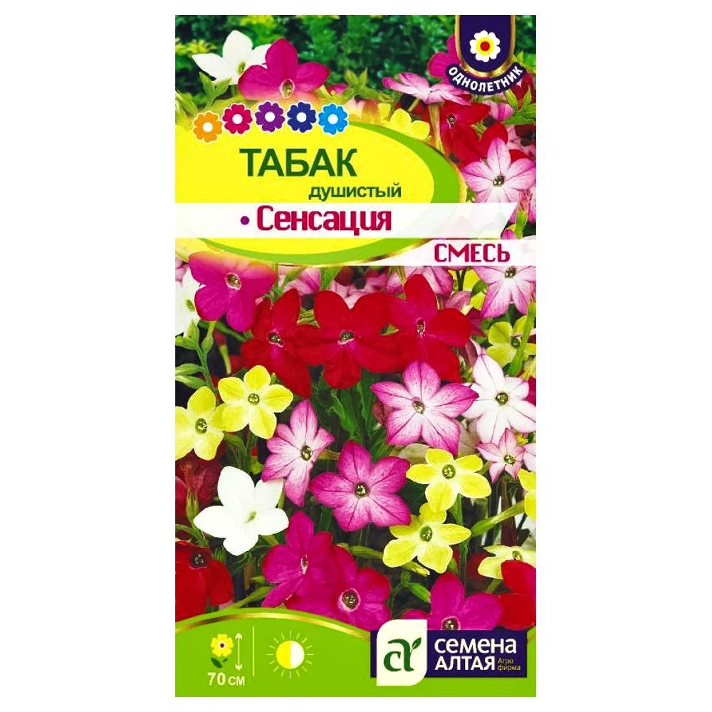 ������ ������ ����� �������� ��������, ����� ������� ������ �����   ����