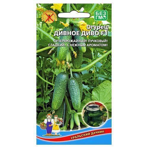 ������ ������ ������ ������ ���� F1 ��������� ������   ����