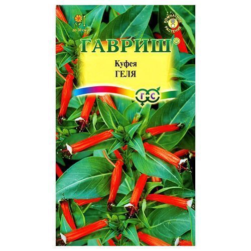 ������ ������ ����� ���� ������   ����