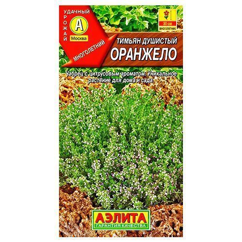 ������ ������ ������ (������) �������� ������   ����