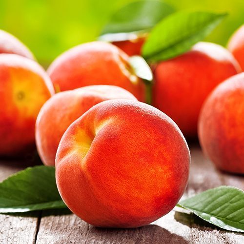 ������ ������ ������ ������   ����