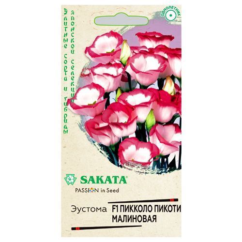 ������ ������ ������� ������� ������ ��������� F1 ������   ����