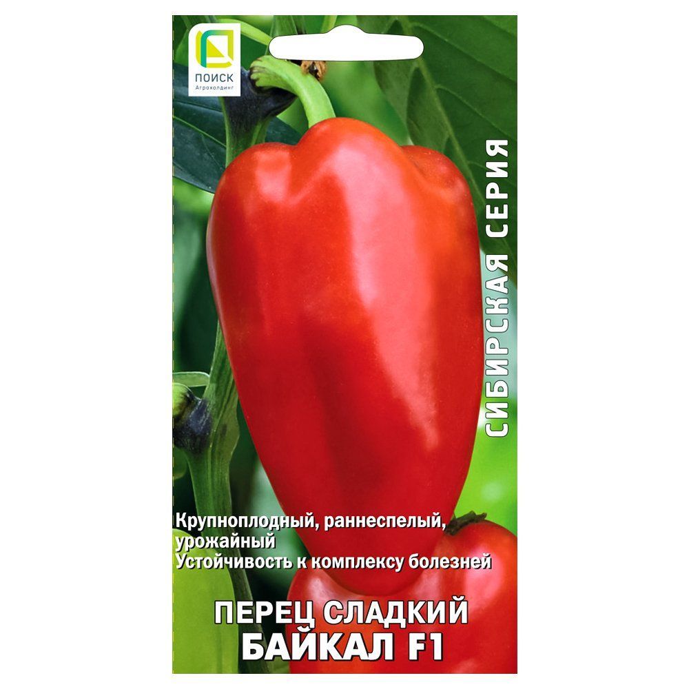 ������ ������ ����� ������� ������ F1 �����   ����