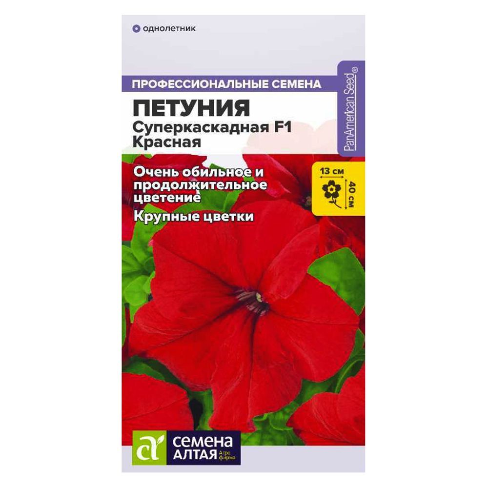 ������ ������ ������� �������������� ������� F1 ������ �����   ����