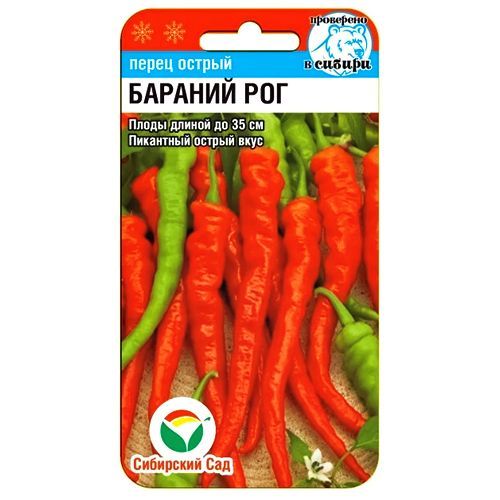 ������ ������ ����� ������ ������� ��� ��������� ���   ����