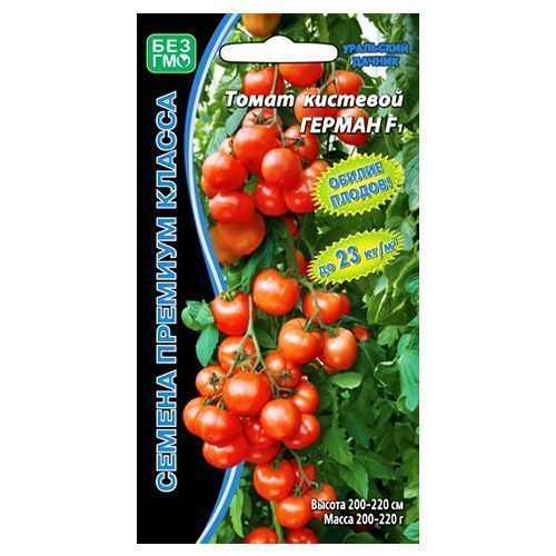 ������ ������ ����� ������ F1 ��������� ������   ����