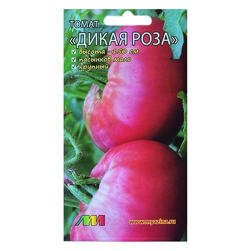 ������ ������ ����� ����� ���� ����������� ������ �.�.   ����