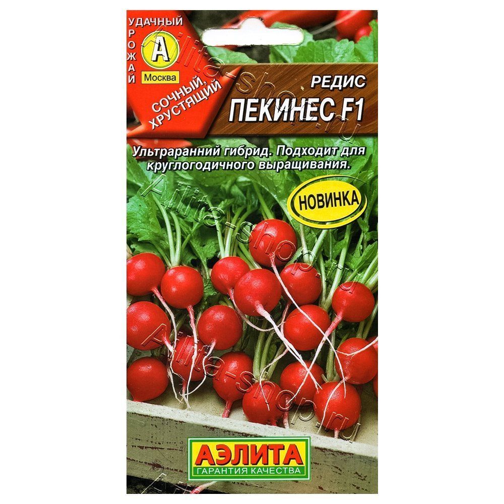 ������ ������ ����� ������� F1 ������   ����