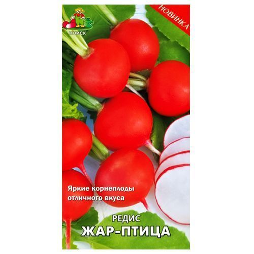 ������ ������ ����� ���-����� �����   ����