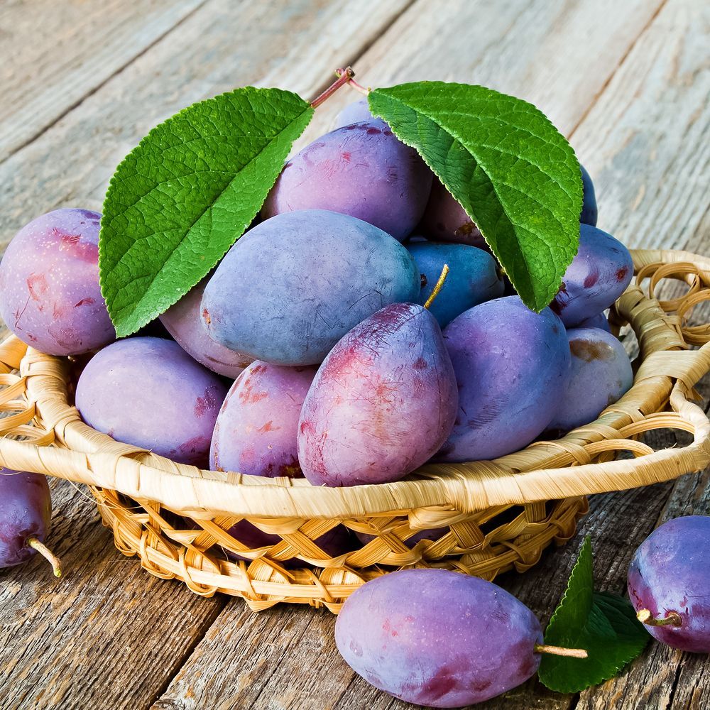 ������ ������ ����� ��� �������� ������ ��������� ���������   ����