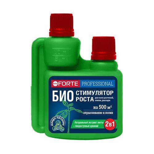 ������ ������ Bona Forte ���-���������� ����� ����������� 100 ��   ����