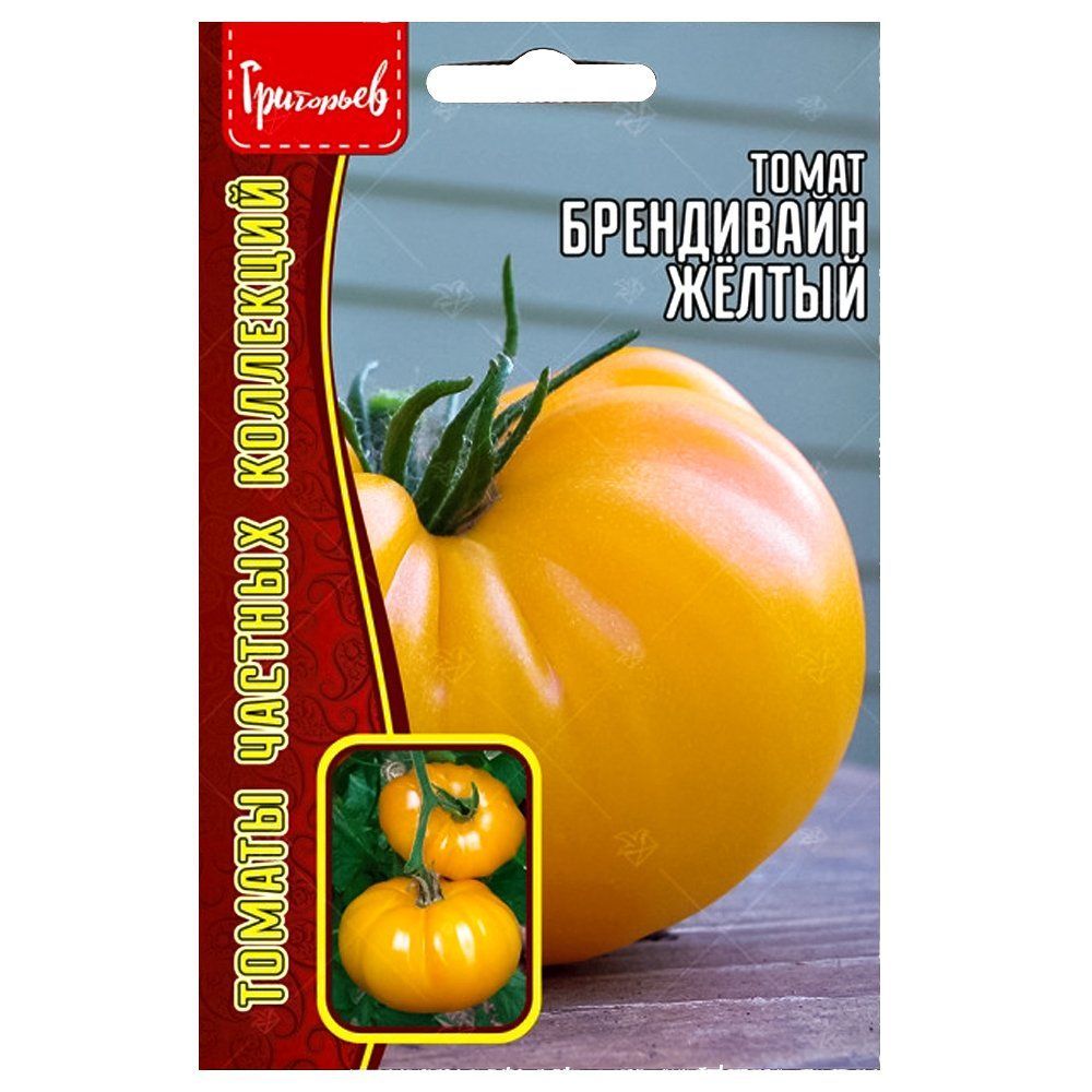 ������ ������ ����� ���������� ������ ������ ������   ����