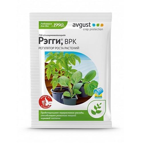 ������ ������ �����, ��������� ����� � ������������ 1 ��   ����