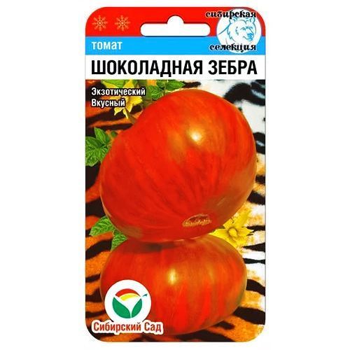 ������ ������ ����� ���������� ����� ��������� ���   ����