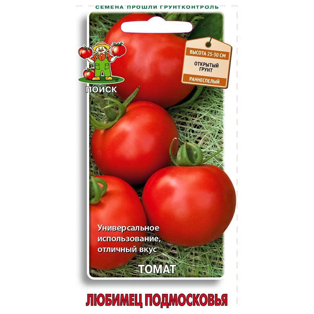 ������ ������ ����� ������� ����������� �����   ����