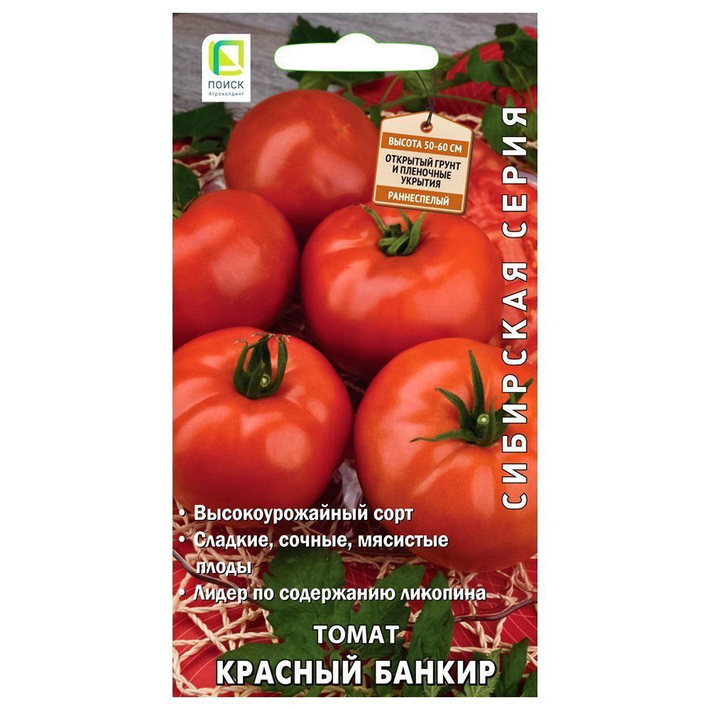 ������ ������ ����� ������� ������ �����   ����