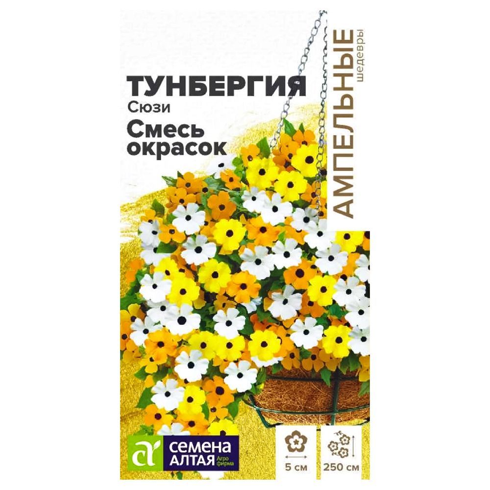 ������ ������ ��������� ����, ����� ������� ������ �����   ����