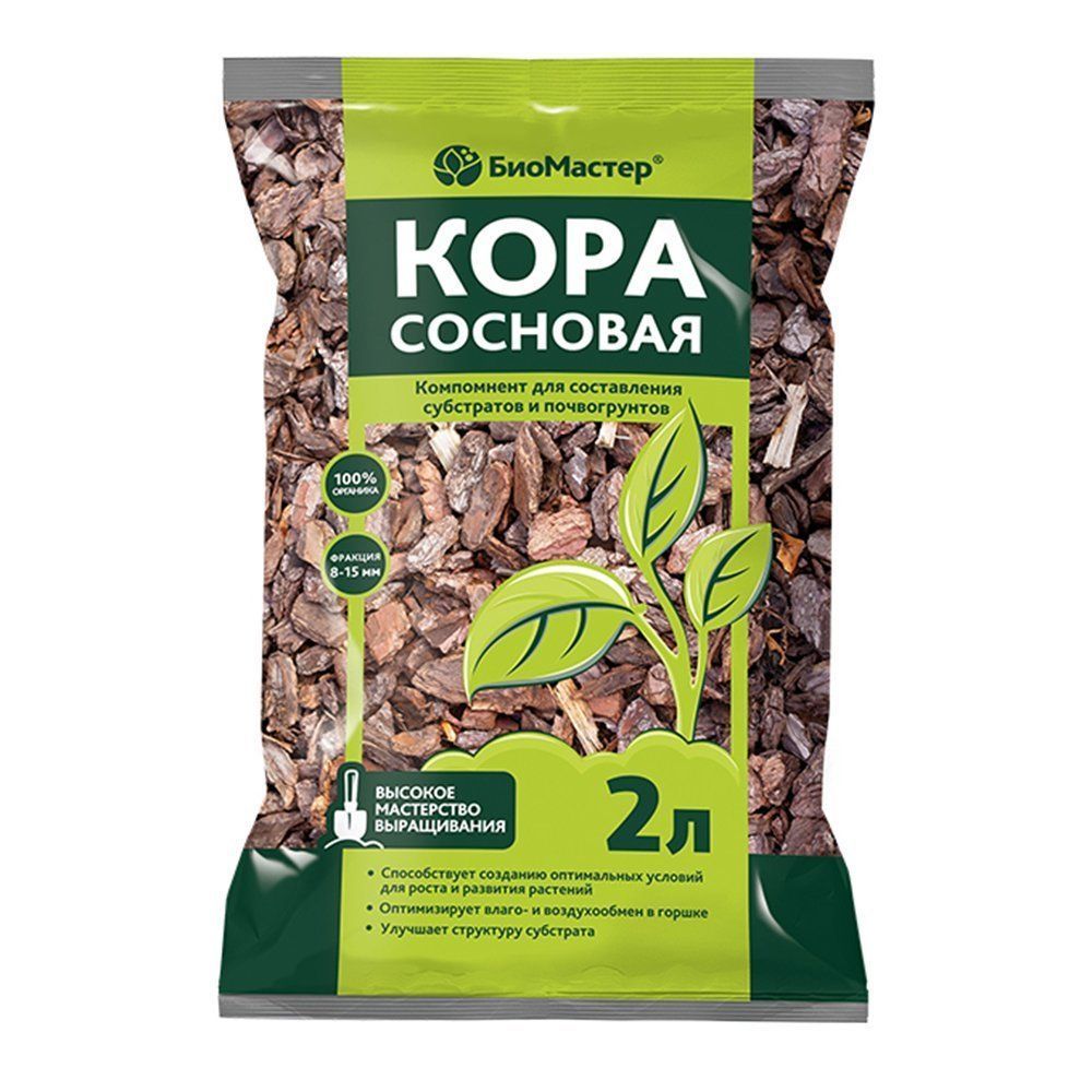 ������ ������ ��������� ���� ��������, ��������������� 2 �   ����