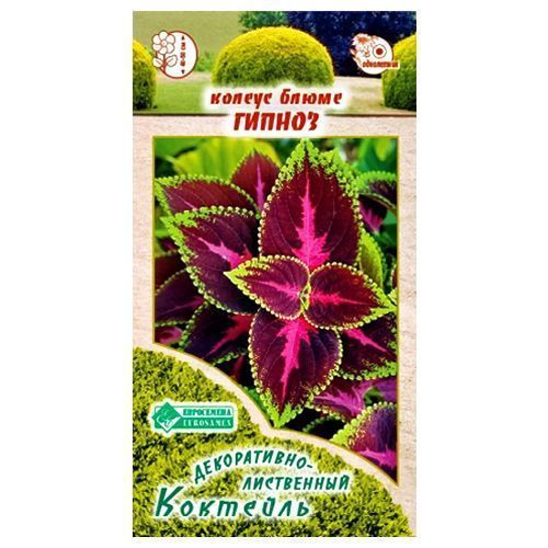 ������ ������ ������ ����� ������ ����������   ����