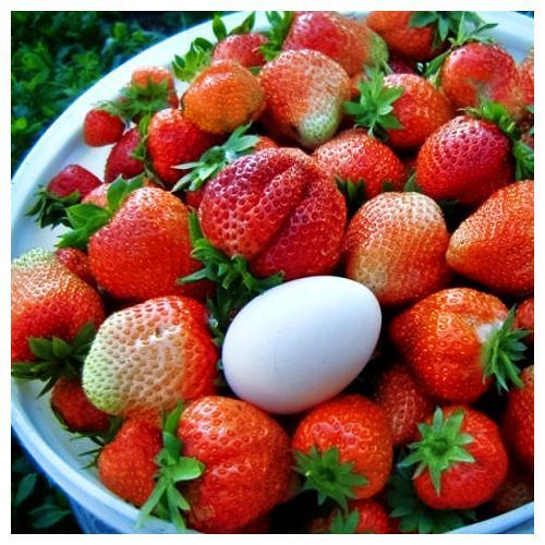 ������ ������ ��������� ������������ (�������������) ����� ����   ����