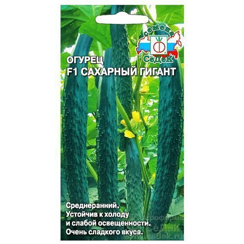 ������ ������ ������ �������� ������ F1 �����   ����