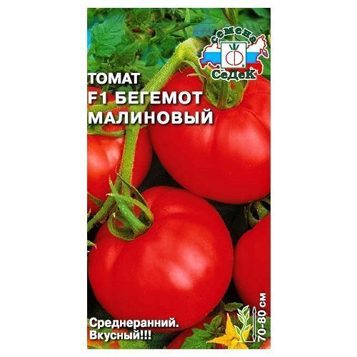 ������ ������ ����� ������� ��������� F1 �����   ����