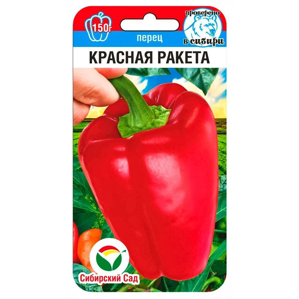 ������ ������ ����� ������� ������� ������ ��������� ���   ����