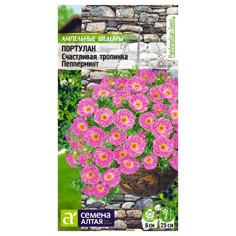 ������ ������ �������� ���������� �������� ���������� ������ �����   ����