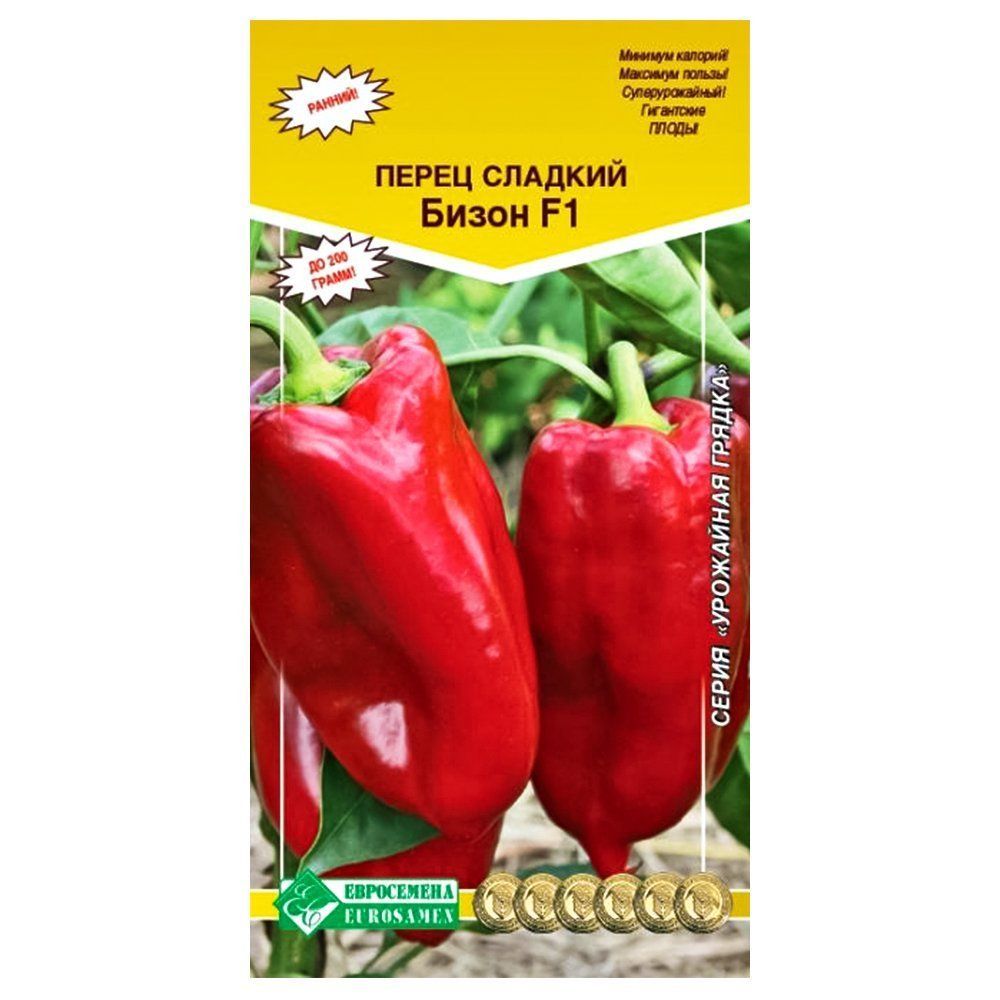 ������ ������ ����� ������� ����� ������� ����������   ����