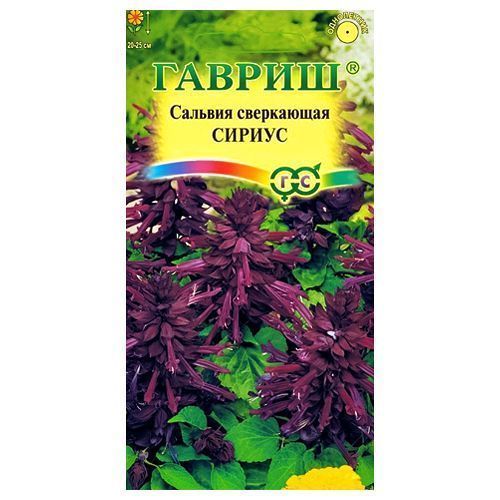 ������ ������ ������� ������ ������   ����