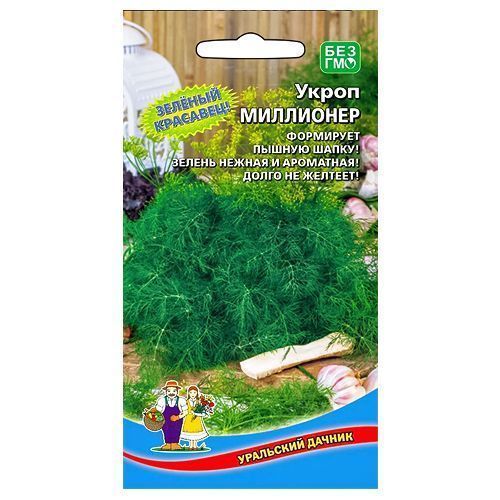 ������ ������ ����� ��������� ��������� ������   ����