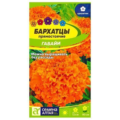 ������ ������ �������� ������������ ������ ������ �����   ����