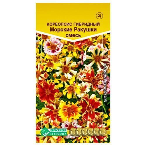 ������ ������ ��������� ��������� ������� �������, ����� ������� ����������   ����