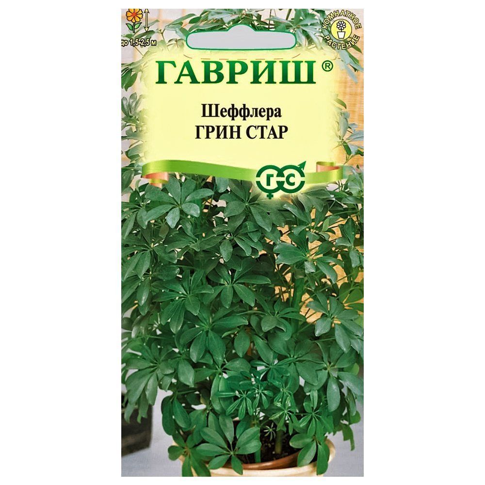 ������ ������ �������� ���� ���� ������   ����