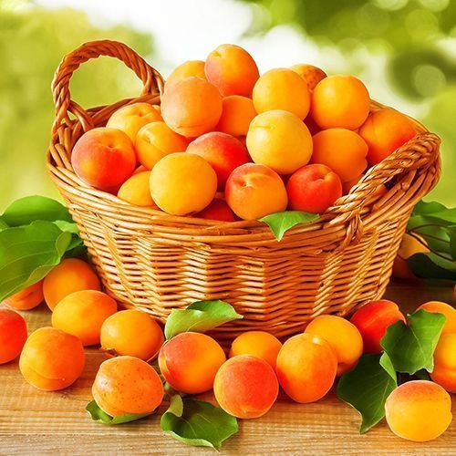 ������ ������ ������� ������� ���������   ����