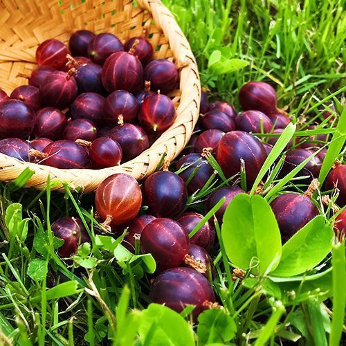 ������ ������ ��������� �����   ����