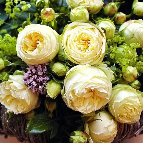 ������ ������ ���� �����-��������� ���� �����   ����