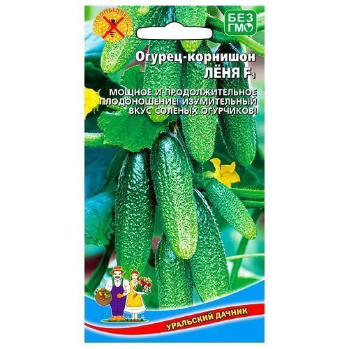 ������ ������ ������ �������� ���� F1 ��������� ������   ����