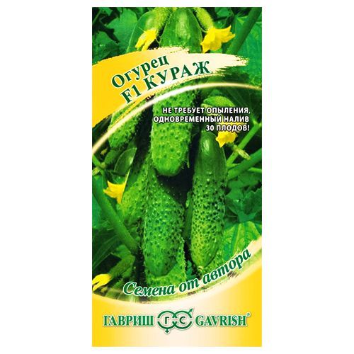 ������ ������ ������ ����� F1 ������   ����