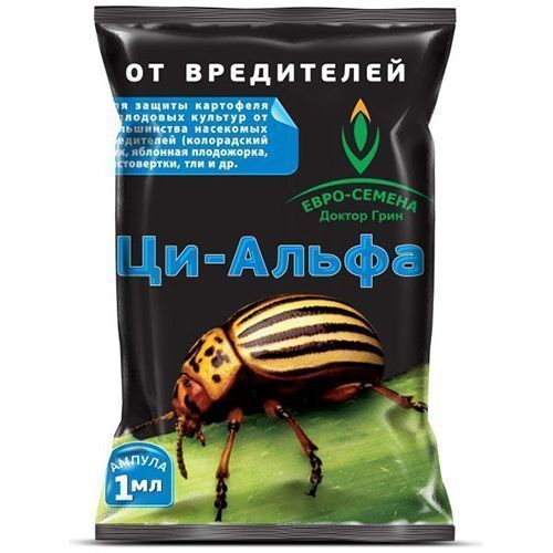 ������ ������ ������ ���� ��-�����, �������� �� ���������-���������� 1 ��   ����