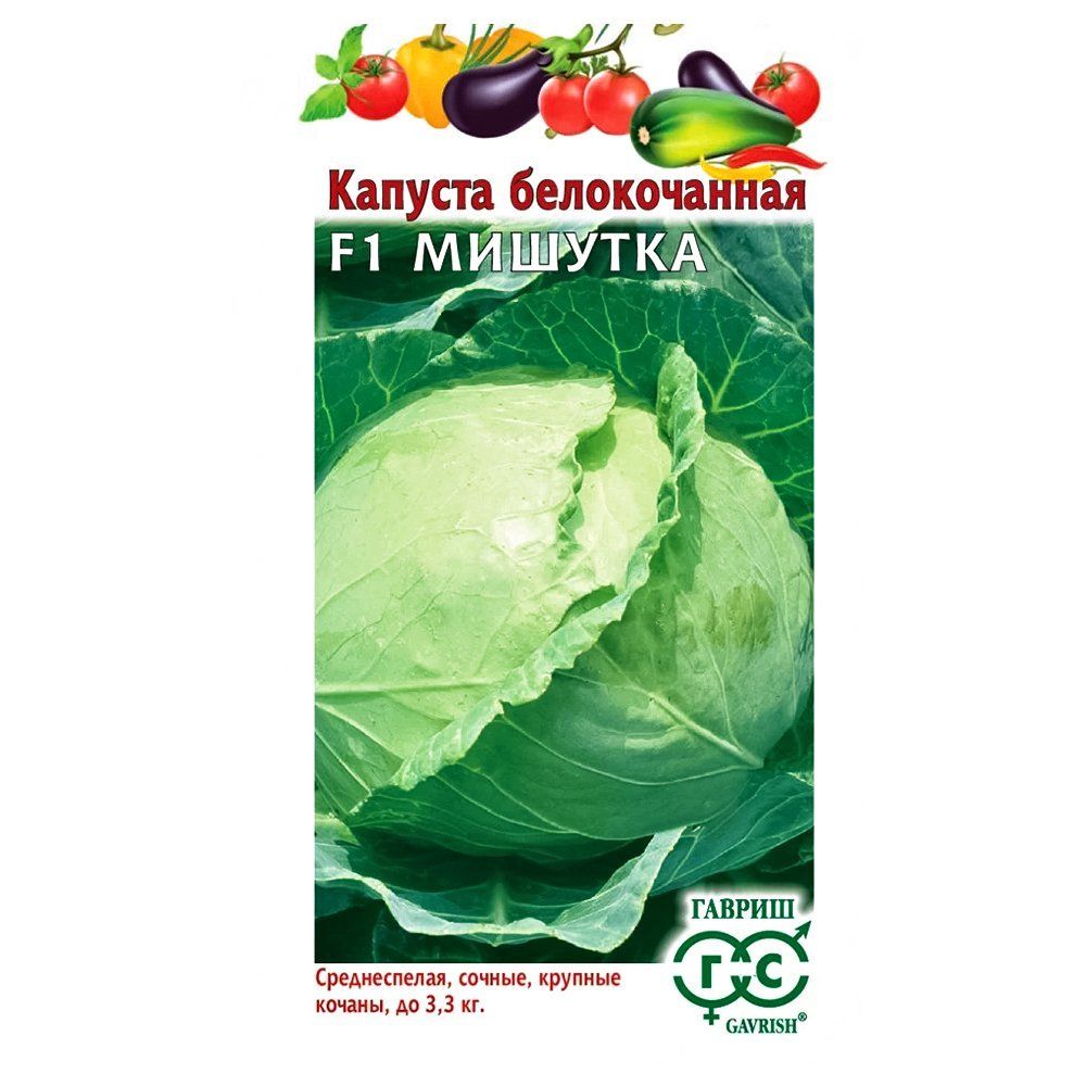 ������ ������ ������� ������������ ������� F1 ������   ����