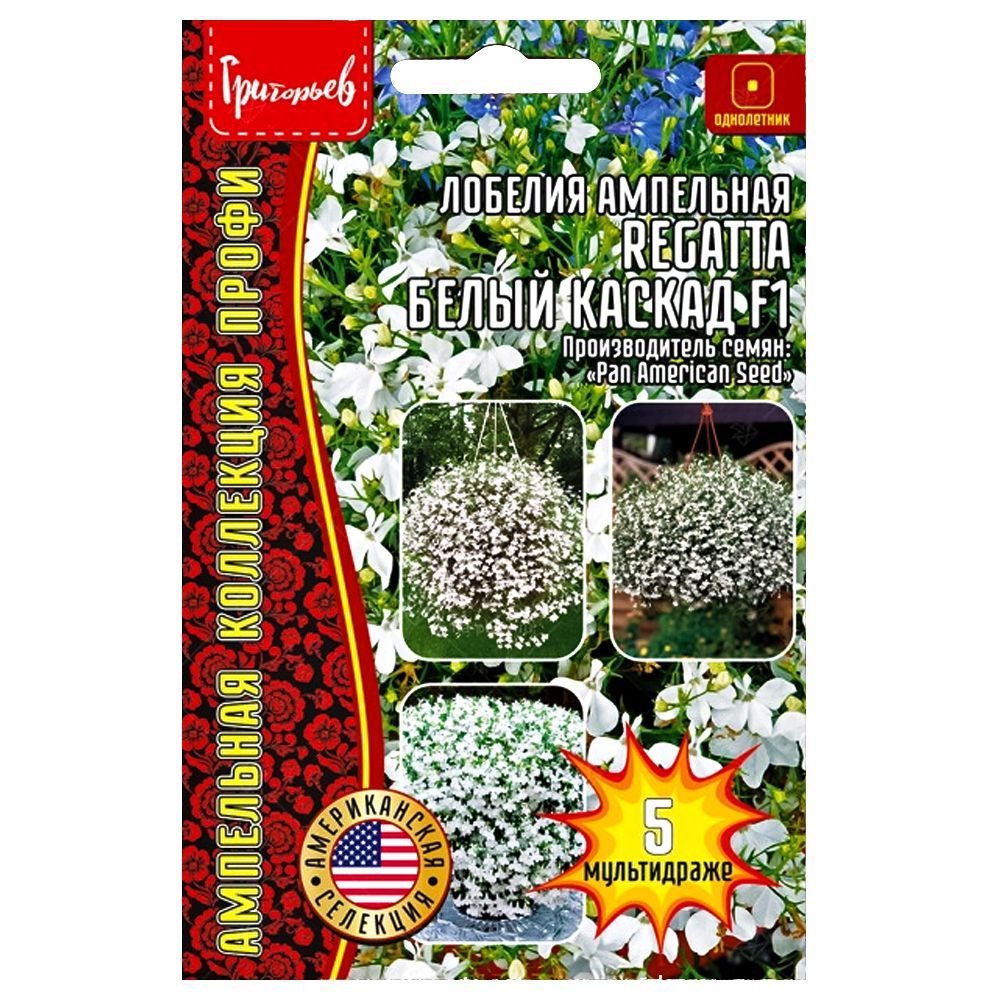 ������ ������ ������� ��������� Regatta ����� ������ F1 ������ ������   ����