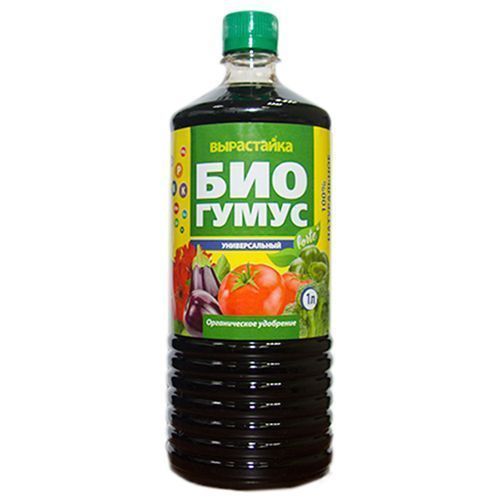 ������ ������ �������� ������������� 1 �   ����