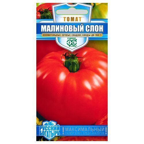 ������ ������ ����� ��������� ���� ������   ����