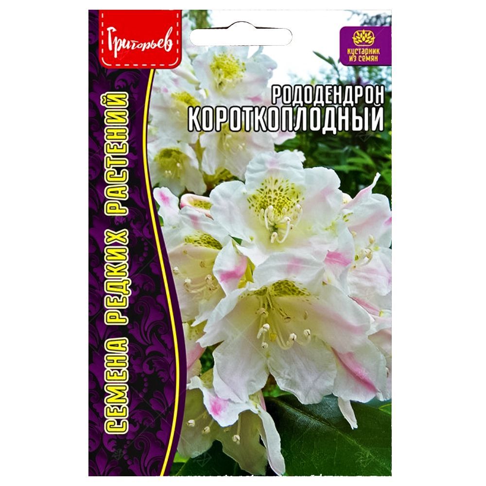 ������ ������ ����������� �������������� ������ ������   ����