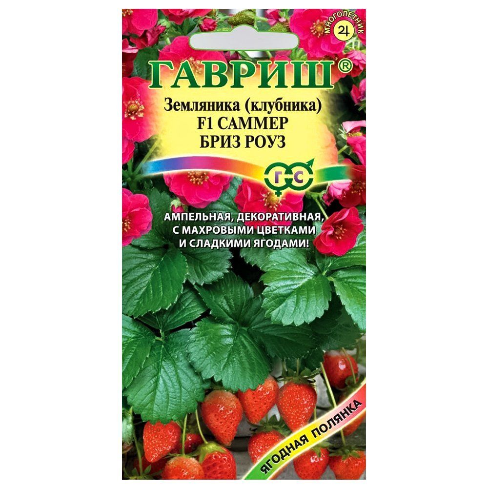 ������ ������ ��������� ������������� ������������ ������ ���� ���� F1 ������   ����