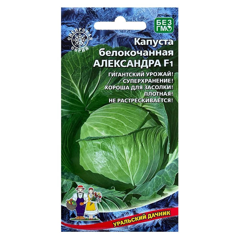 ������ ������ ������� ������������ ���������� F1 ��������� ������   ����